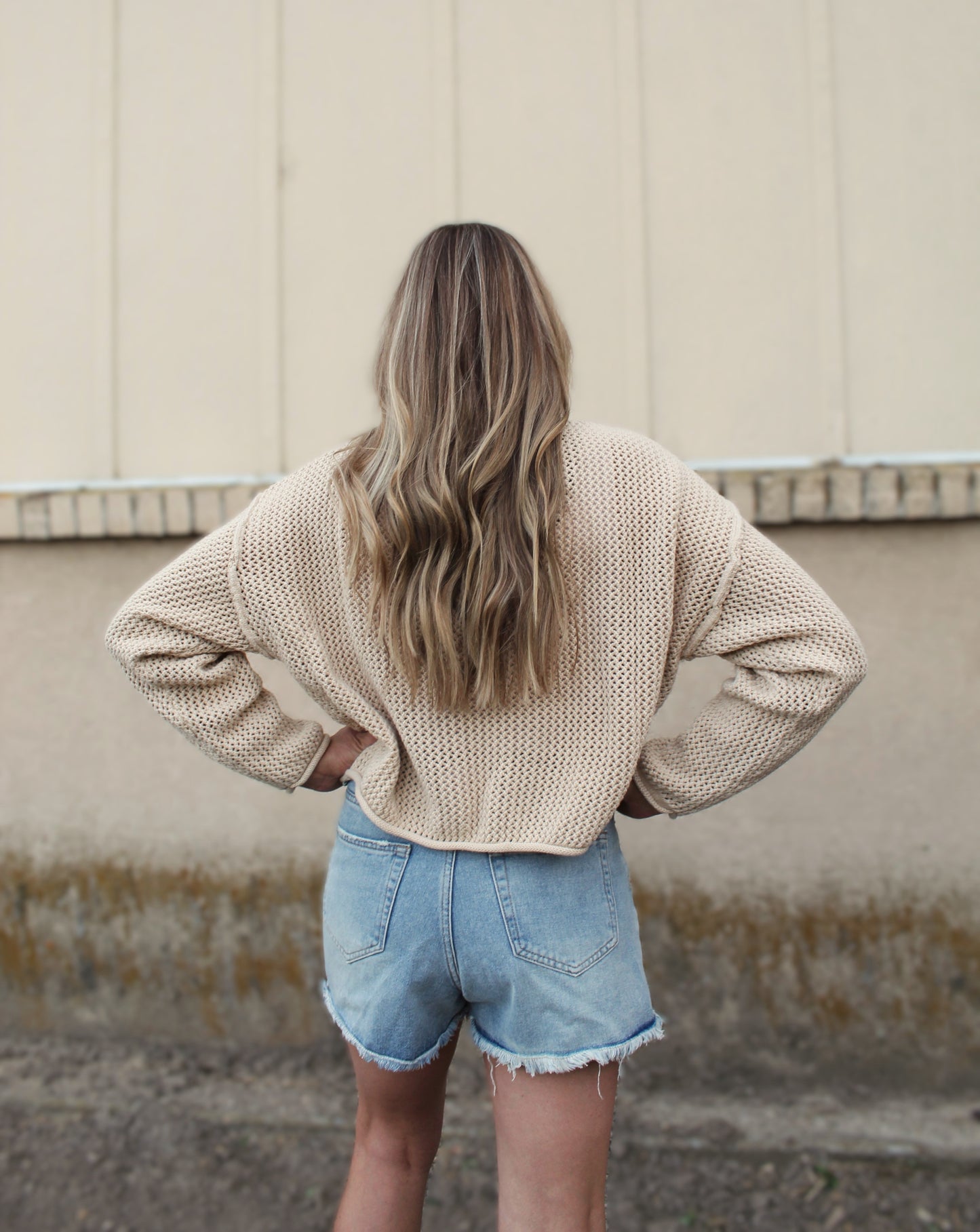 American Beauty Knit Top in Beige