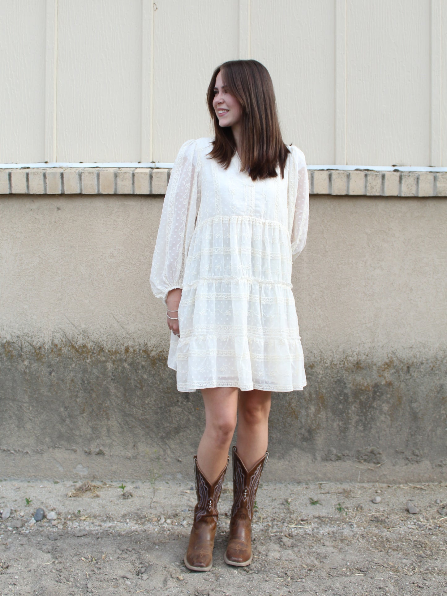 Remember Me Embroidered Dress in Ivory