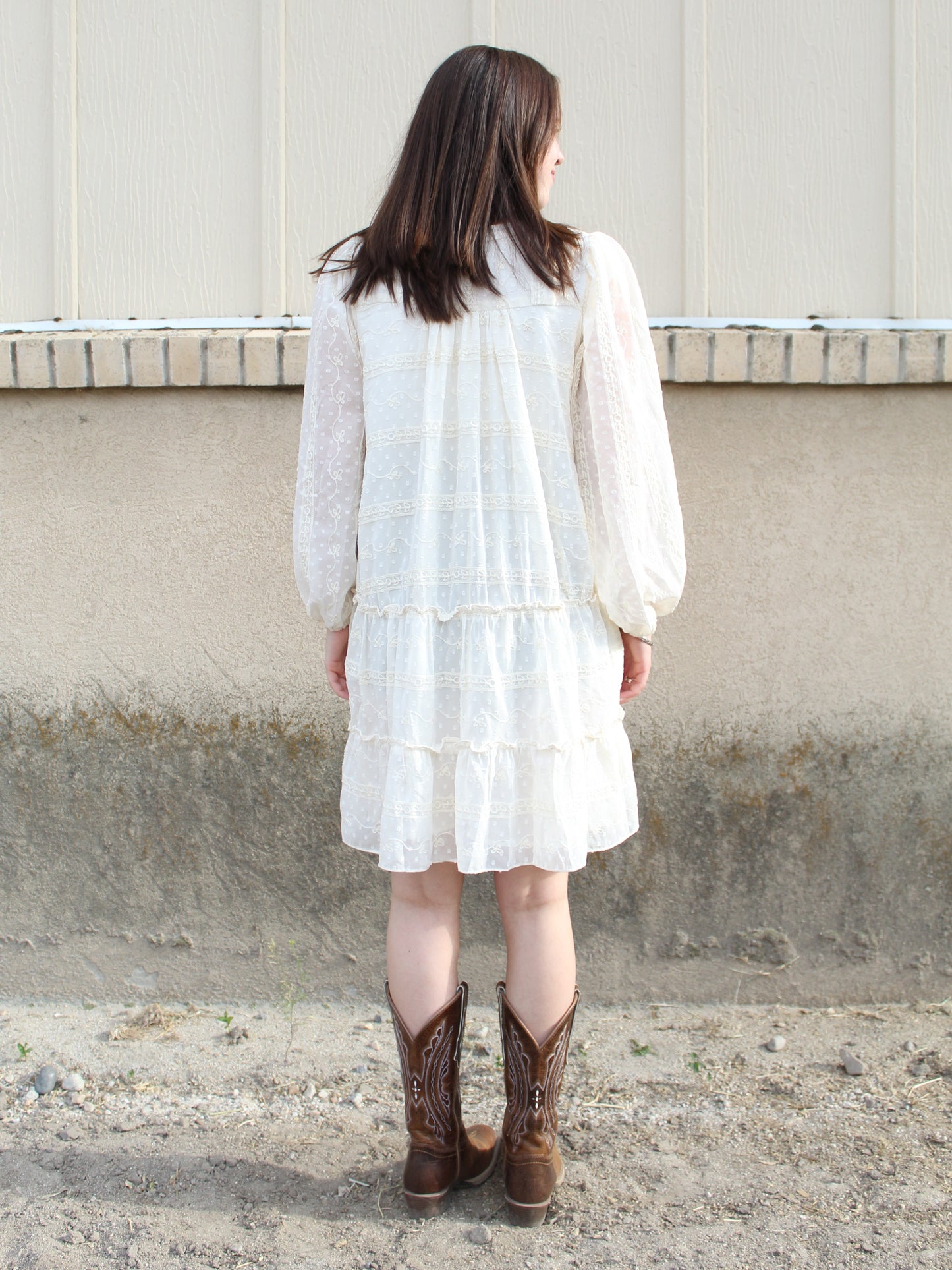 Remember Me Embroidered Dress in Ivory