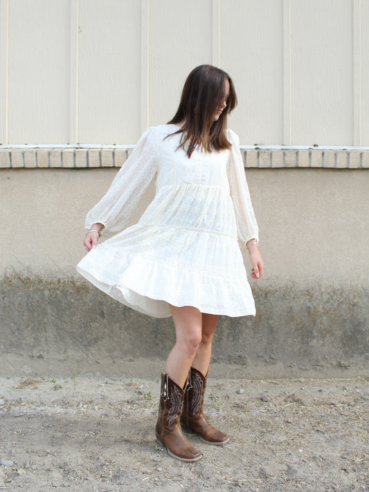 Remember Me Embroidered Dress in Ivory