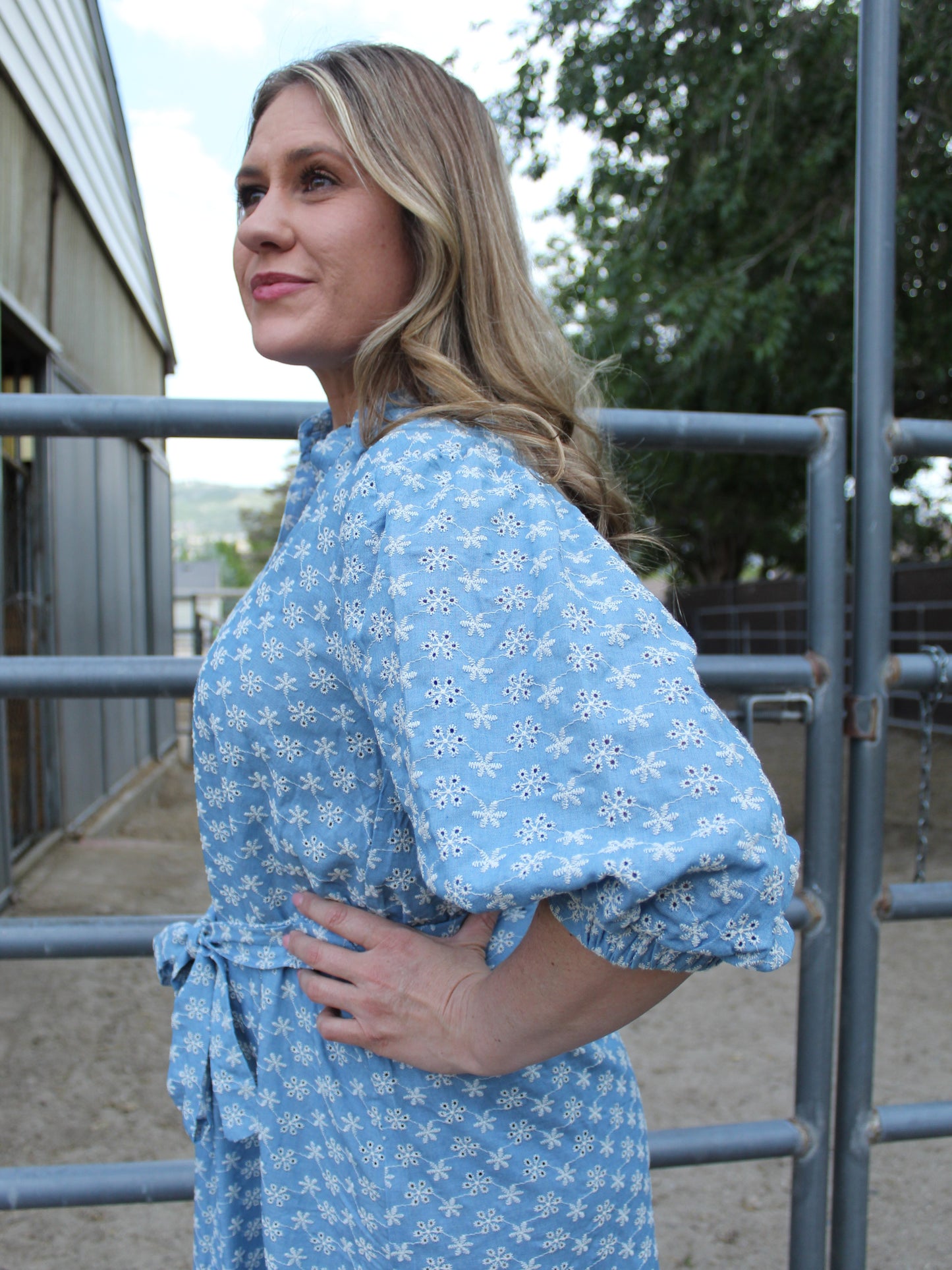 Flower Fields Buttoned Dress in Denium