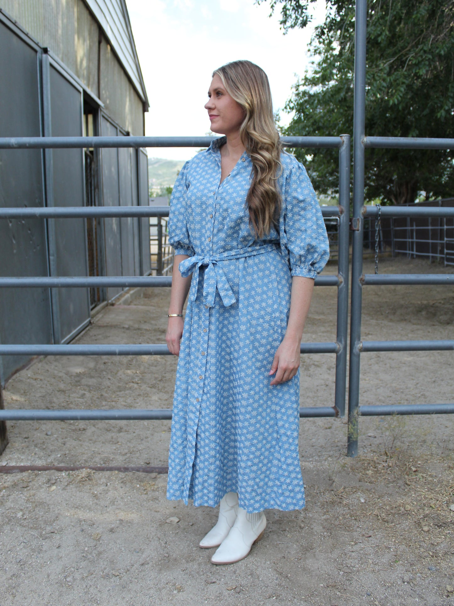 Flower Fields Buttoned Dress in Denium