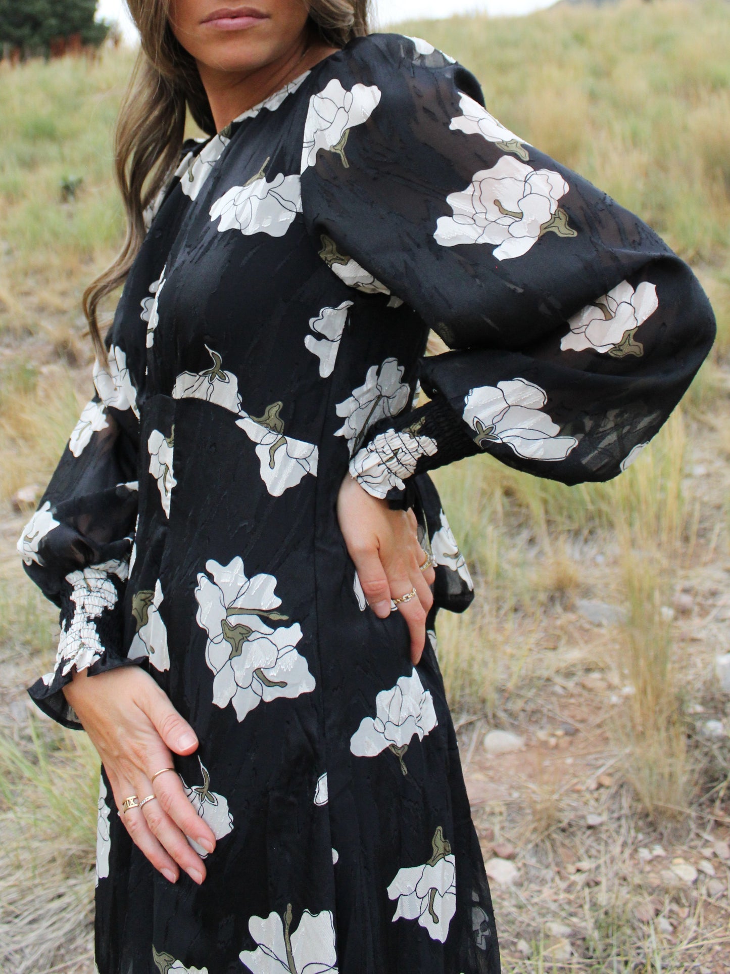 The Lana Floral Dress in Black