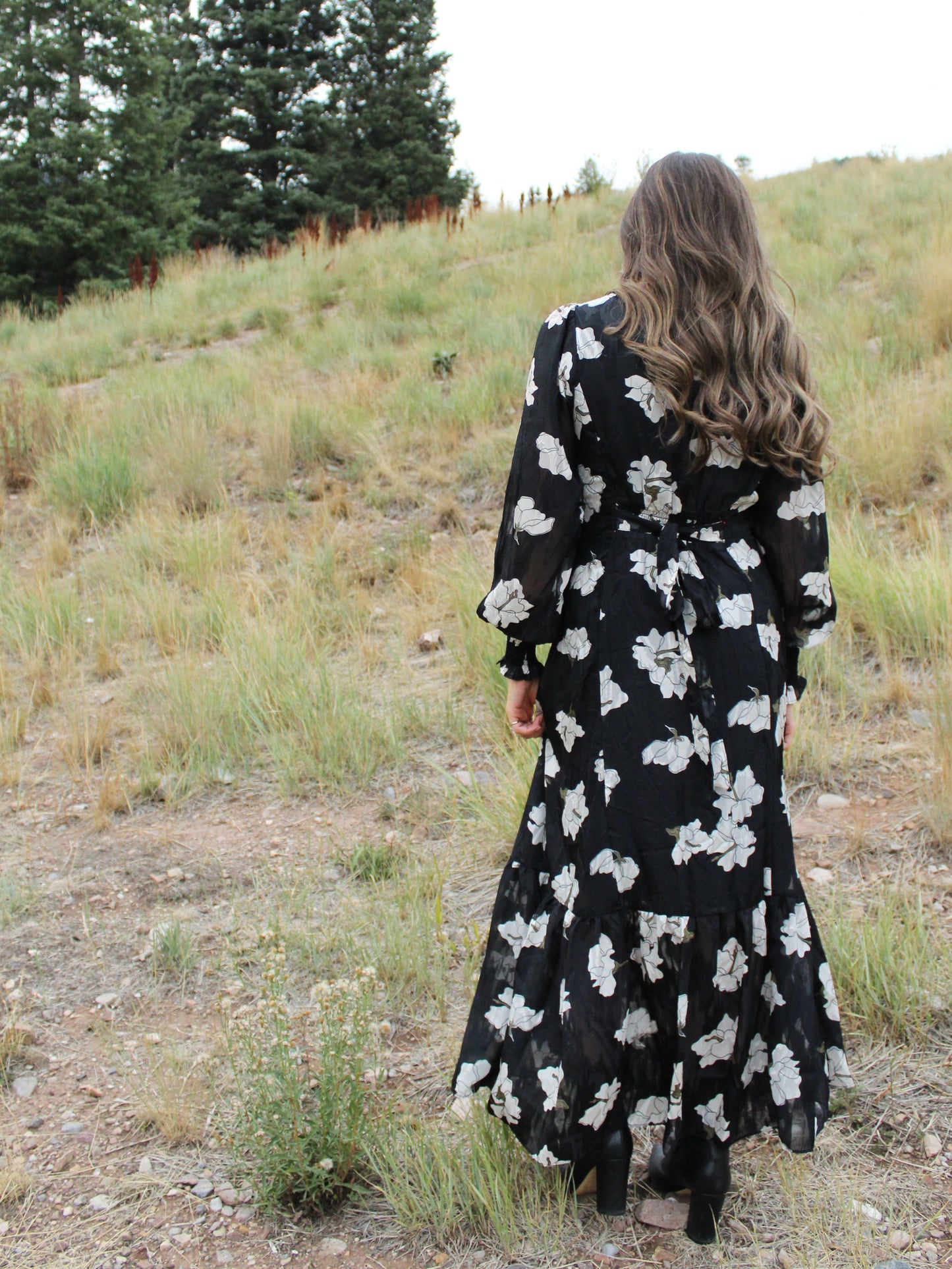 The Lana Floral Dress in Black
