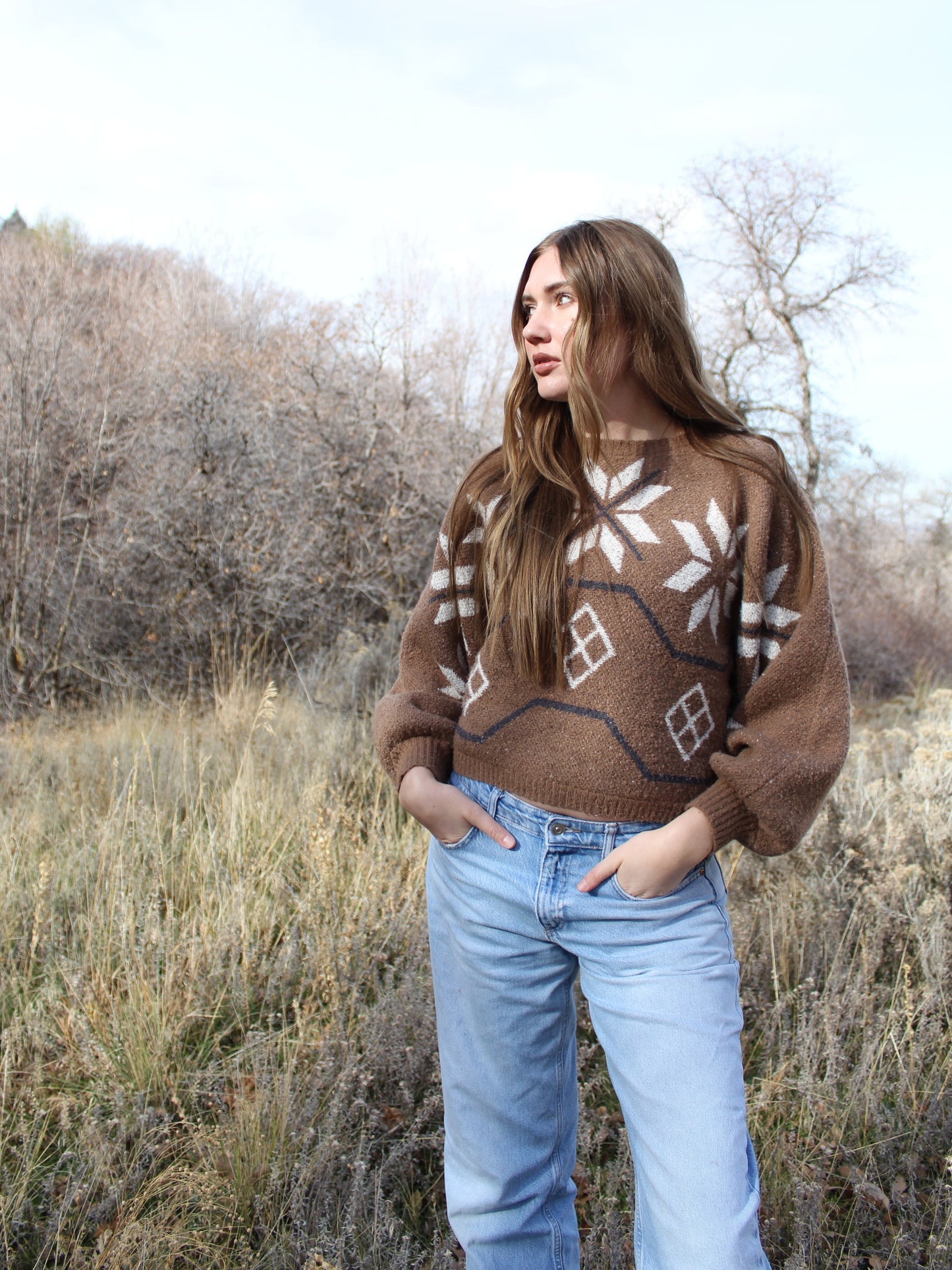 Alpine Cabin Sweater Top