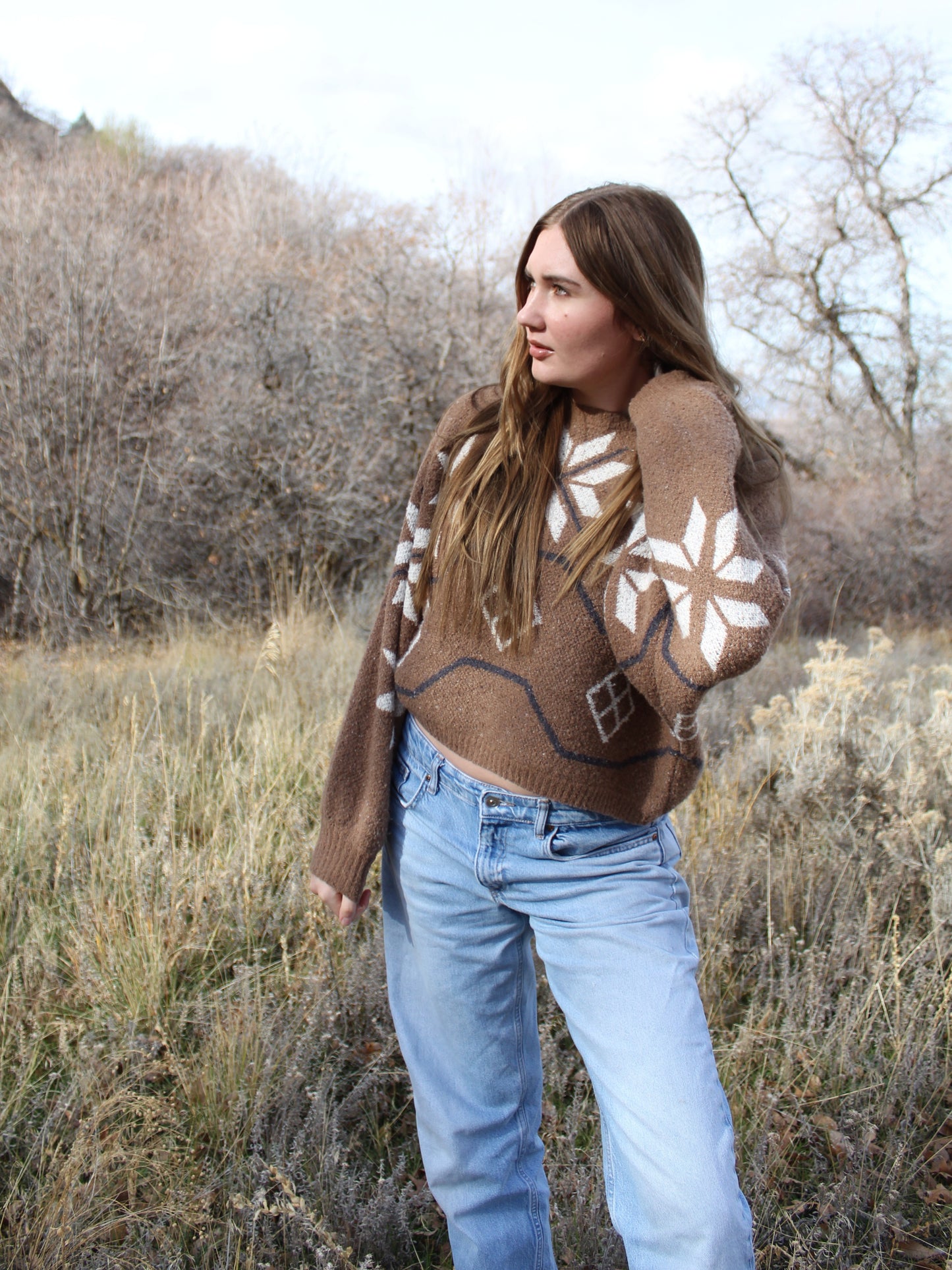 Alpine Cabin Sweater Top