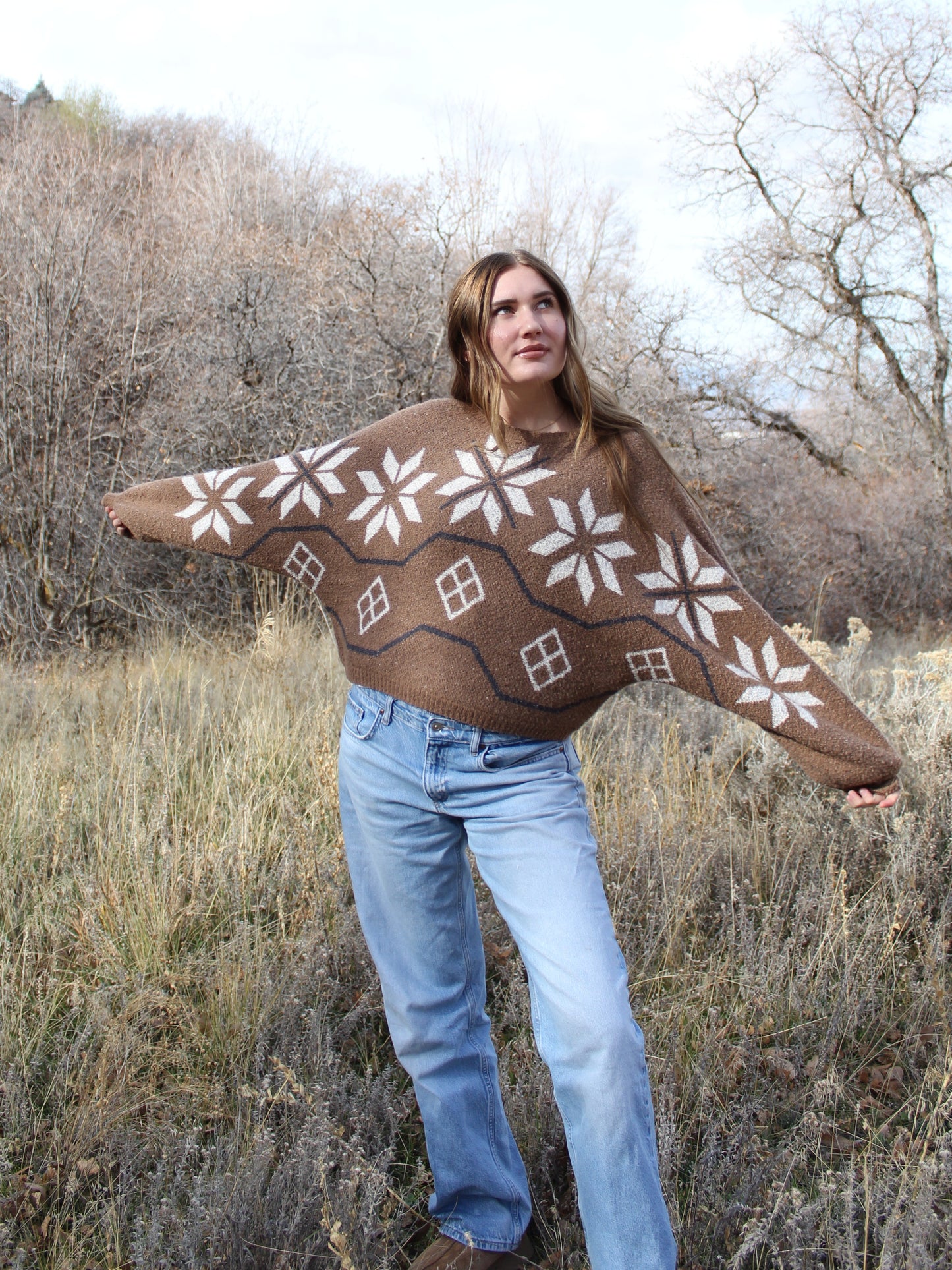 Alpine Cabin Sweater Top